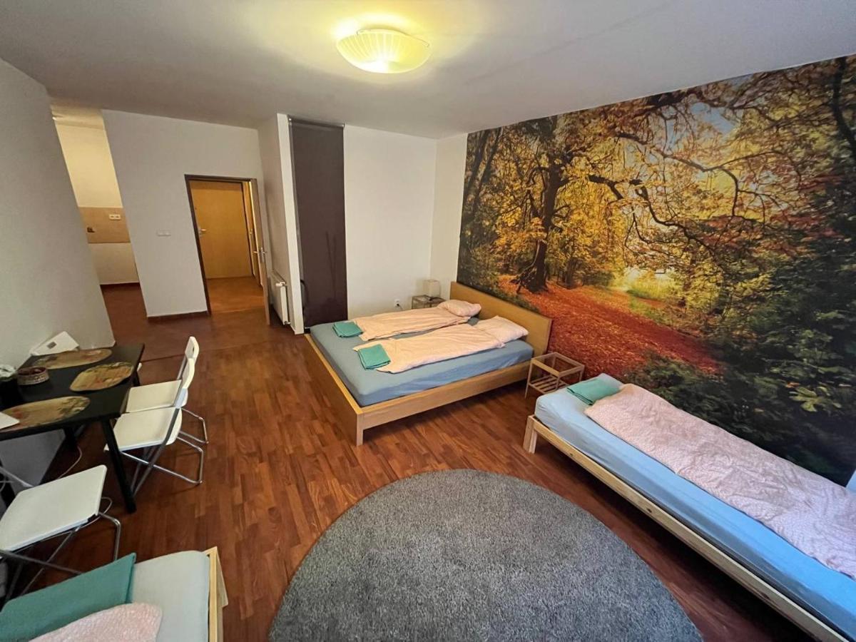 Apartments Spolkova Brno Bagian luar foto